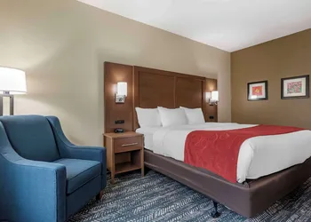 Comfort Inn & Suites Downtown near University hotel thumbnail 4