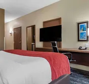 Comfort Inn & Suites Downtown near University hotel detail image 5