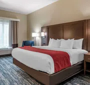 Comfort Inn & Suites Downtown near University hotel detail image 7
