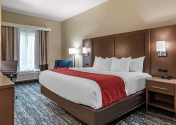 Comfort Inn & Suites Downtown near University hotel thumbnail 7