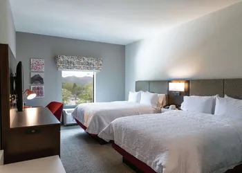 Hampton Inn Black Mountain hotel thumbnail 6
