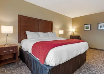 Comfort Inn & Suites Michigan City South hotel thumbnail 6