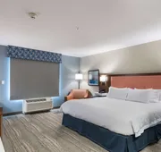 Hampton Inn Niles hotel detail image 7