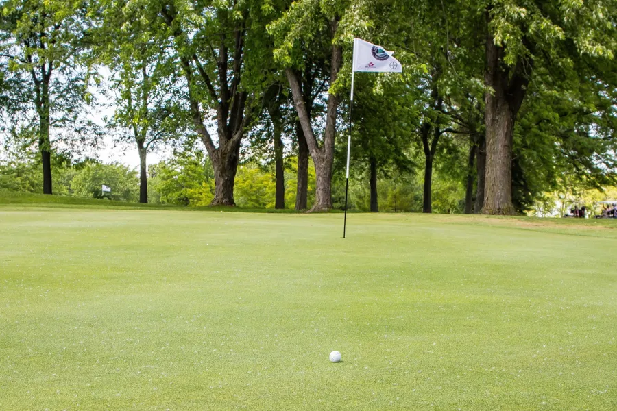 Forest Golf Club and Inn hotel detail image 2