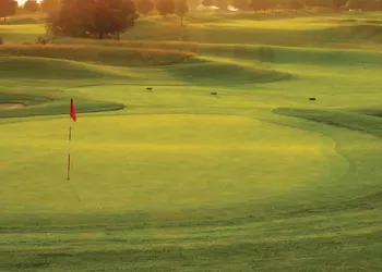 Forest Golf Club and Inn hotel thumbnail 5