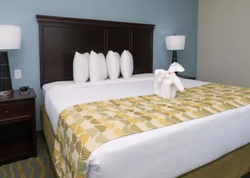 Edge Hotel Clearwater Beach hotel thumbnail 5