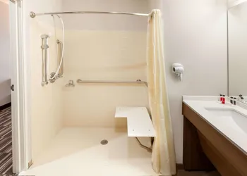 Microtel Inn & Suites by Wyndham College Station hotel thumbnail 7