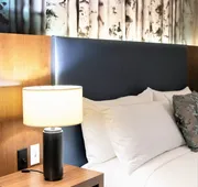 The Alder at Resorts World Catskills hotel detail image 4