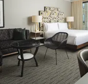 Hotel ZaZa Houston Memorial City hotel detail image 4