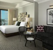 Hotel ZaZa Houston Memorial City hotel detail image 7