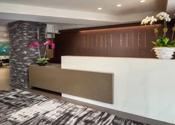 The Delaney Hotel hotel thumbnail 2