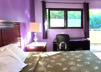 Motel Edgebrook Chicago North Shore by OYO hotel thumbnail 6