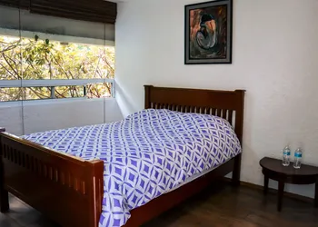 Hostal Cuija Coyoacán hotel thumbnail 7