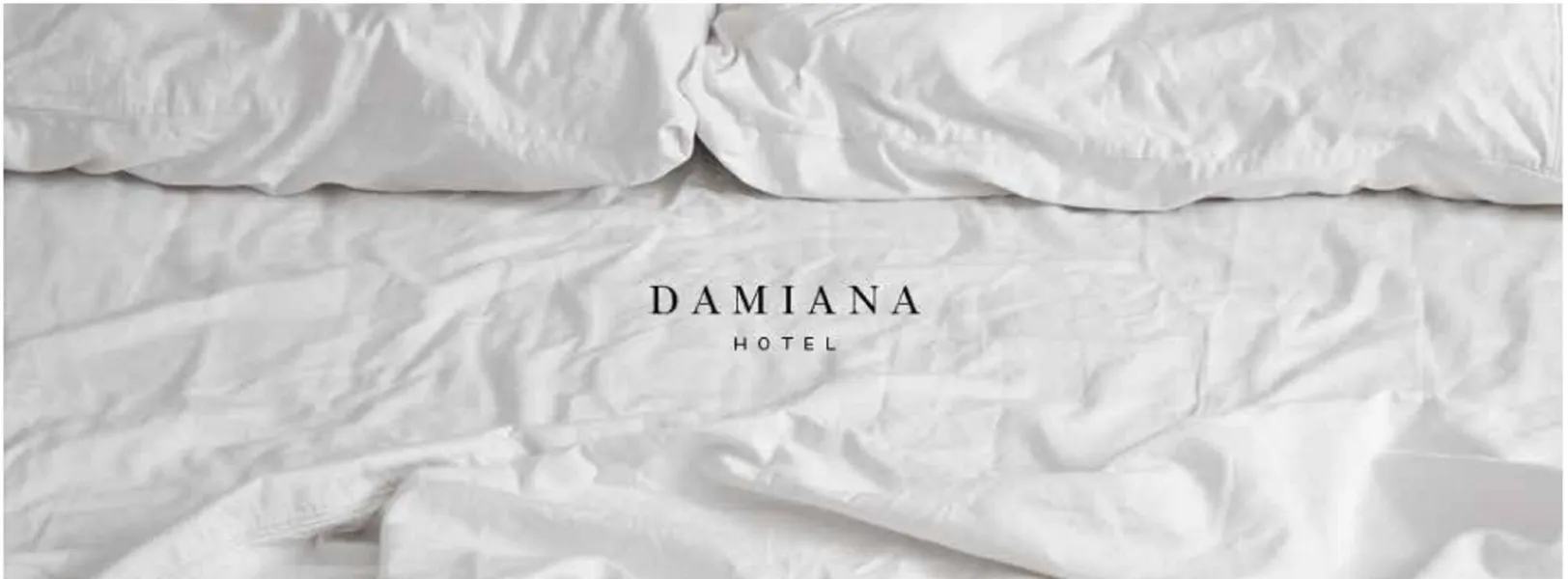 Hotel Damiana Boutique hotel detail image 2