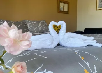 Bear's Claw Lodge hotel thumbnail 8