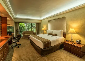 Wyndham Garden Guadalajara Expo hotel thumbnail 7