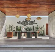 Four Seasons Resort Los Cabos at Costa Palmas hotel detail image 4