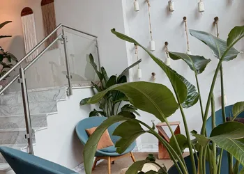 Hotel Mome hotel thumbnail 2