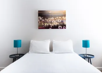 Casa Secoya hotel thumbnail 7