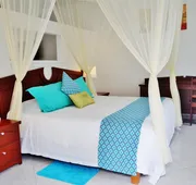 Corales Suites hotel detail image 5