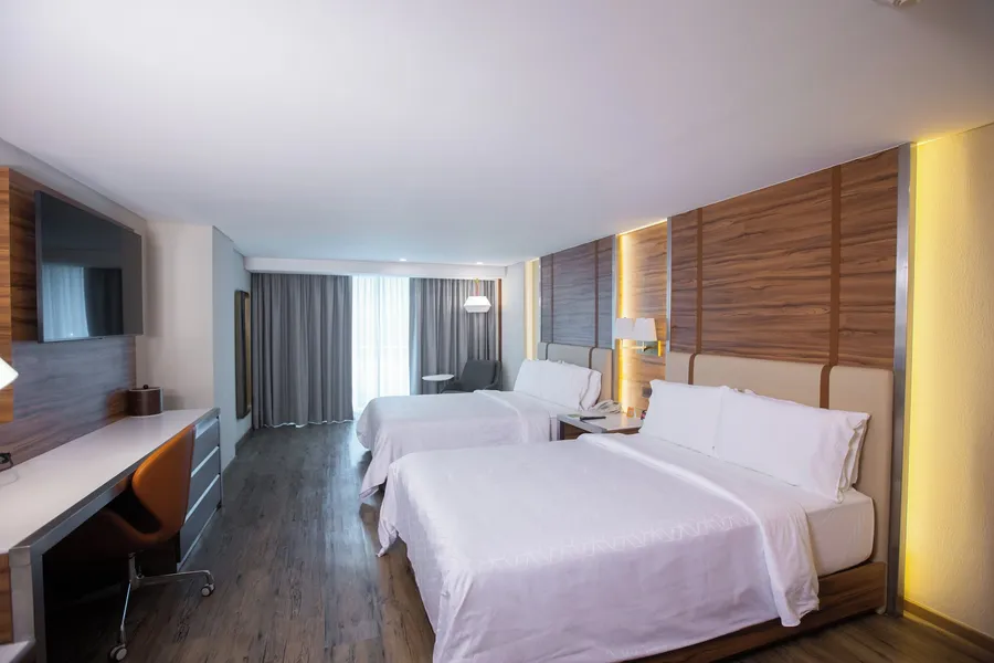 Holiday Inn Zona Centro by IHG hotel detail image 6