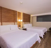 Holiday Inn Zona Centro by IHG hotel detail image 7