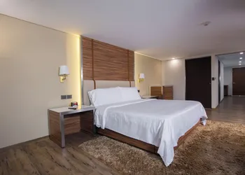 Holiday Inn Zona Centro by IHG hotel thumbnail 5