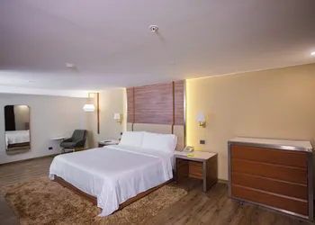Holiday Inn Zona Centro by IHG hotel thumbnail 8