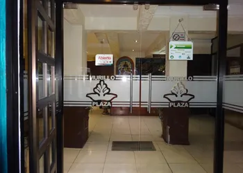 Hotel Murillo Plaza hotel thumbnail 2