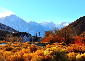 Mt Whitney Motel hotel thumbnail 4