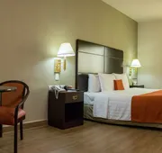 Hotel Plaza Calzada hotel detail image 4