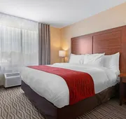 Comfort Inn & Suites hotel detail image 5