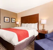 Comfort Inn & Suites hotel detail image 7