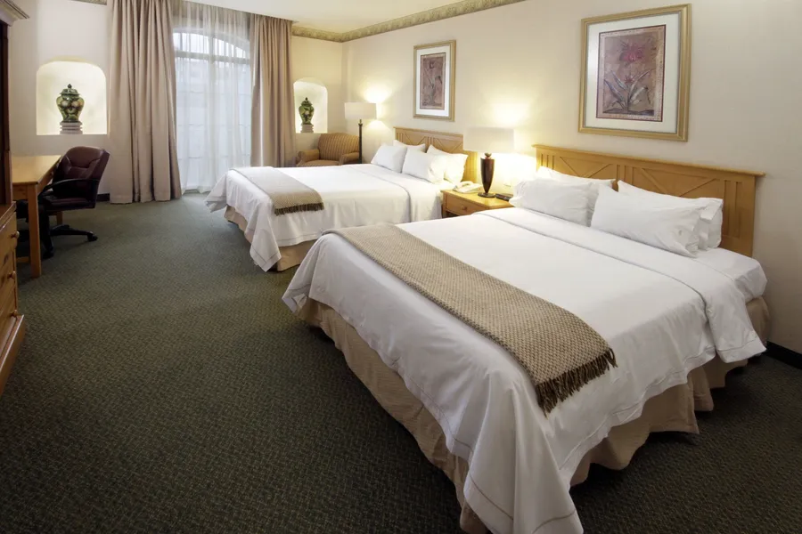 Holiday Inn Express Guanajuato by IHG hotel detail image 6