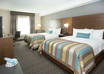 Wingate By Wyndham Calgary Airport hotel thumbnail 6