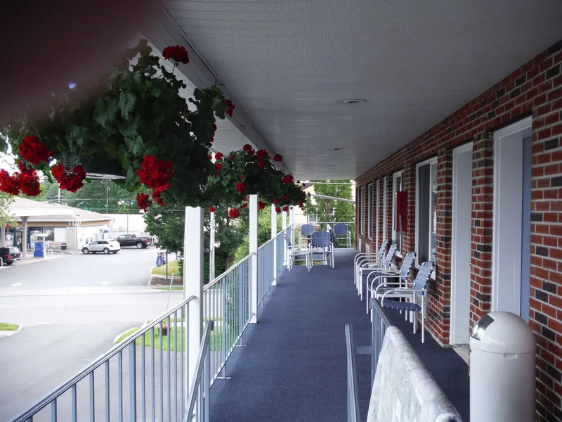 The Springs Motel hotel detail image 6