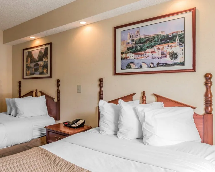 Rodeway Inn Sylacauga Hwy 280 hotel detail image 6