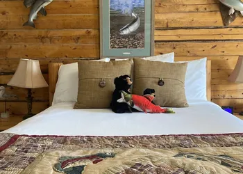 Pioneer Ridge B&B Inn hotel thumbnail 4