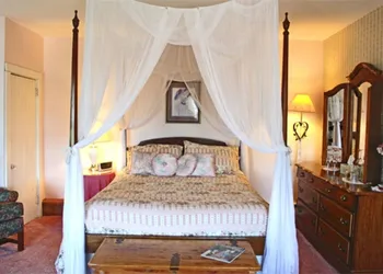 Belle Aire Mansion Guest House hotel thumbnail 7