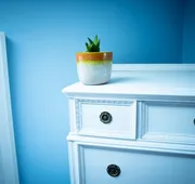 Black Walnut Bed and Breakfast hotel detail image 4