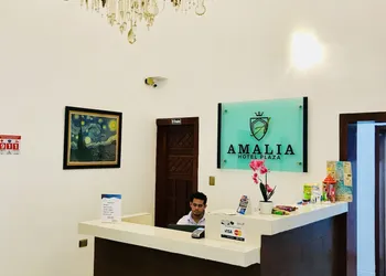 Hotel Plaza Amalia hotel thumbnail 2