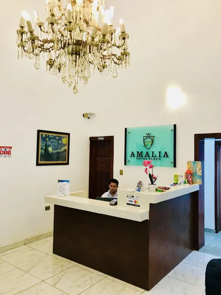 Hotel Plaza Amalia hotel detail image 2