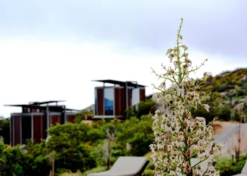 Encuentro Guadalupe hotel thumbnail 5