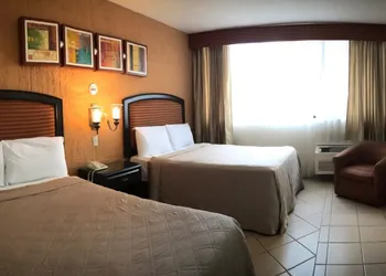 EH Ejecutivo Urban Hotel hotel thumbnail 5