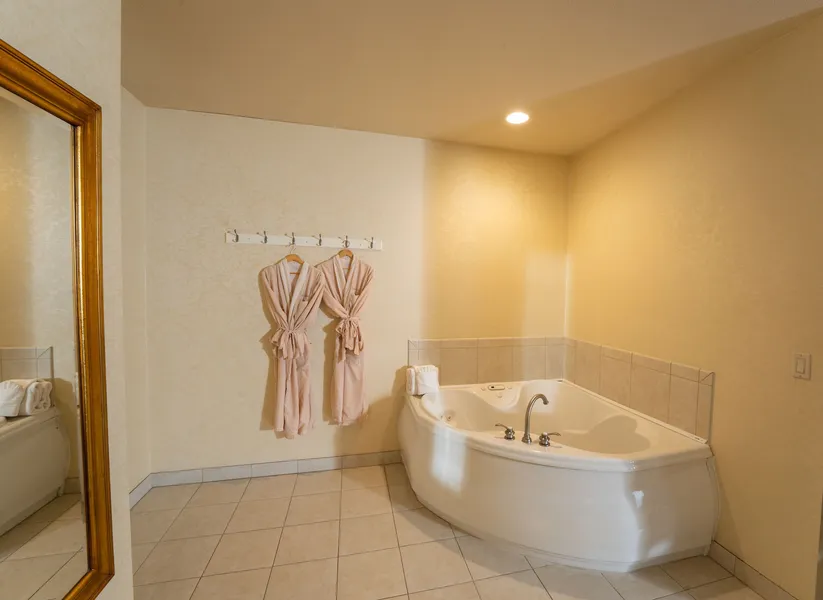 Silverland Inn and Suites hotel detail image 6