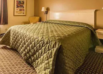 The Village Inn hotel thumbnail 8