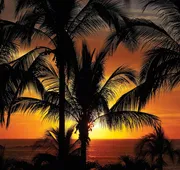 Four Seasons Resort Punta Mita hotel detail image 7
