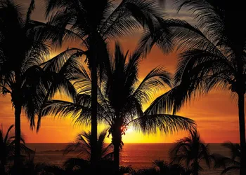 Four Seasons Resort Punta Mita hotel thumbnail 7