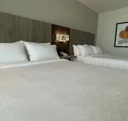 Holiday Inn Express Mérida by IHG hotel detail image 7