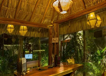 Solera Tulum with Pool hotel thumbnail 2